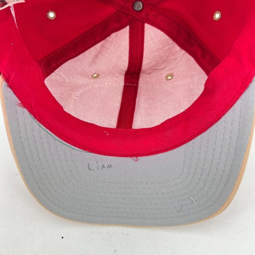 San Francisco 49ers American Needle Nutmeg Mills Team NFL Baseball Cap Hat - Picture 6 of 9